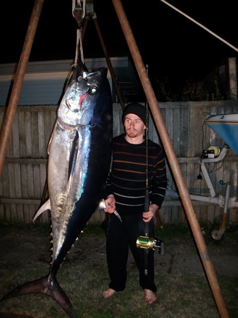 ANGLER: Josh Preston SPECIES: Southern Bluefin Tuna WEIGHT: 119kg LURE: JB Lures, 6.5" carnival Micro Dingo